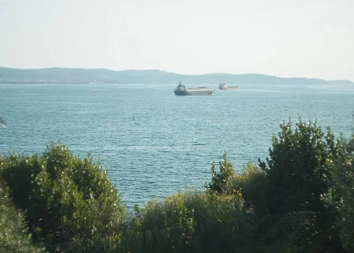 公寓 Elly 安卡兰