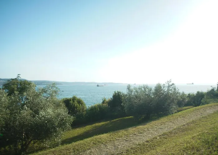 Elly 公寓 安卡兰